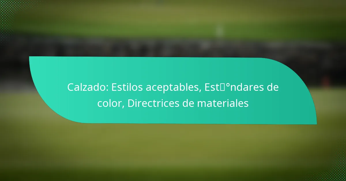 Calzado: Estilos aceptables, Estándares de color, Directrices de materiales